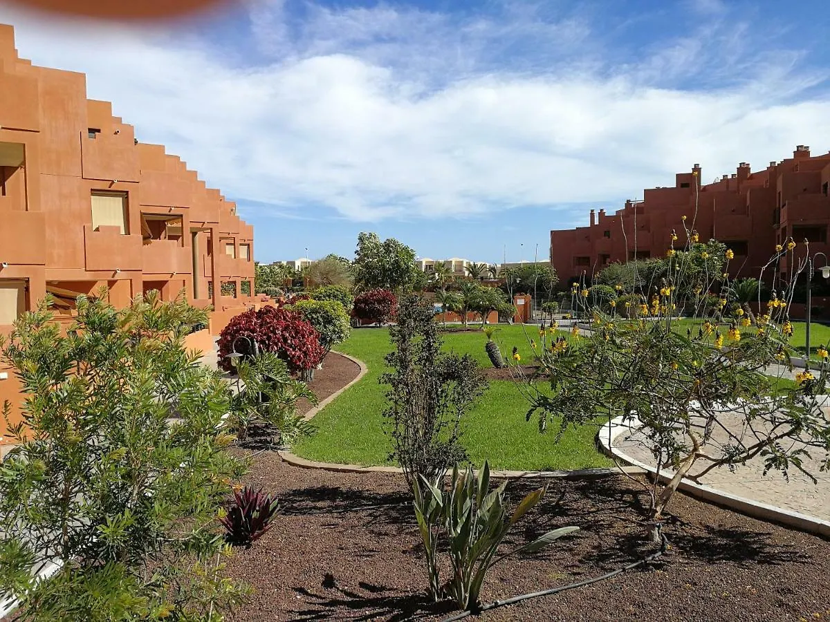 Apartment Alquilaencanarias El Medano Sotavento, Great Terrace And Beach Spain